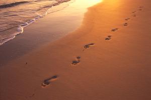 footprints-dana-edmunds